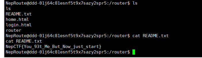 image-20240825182133928