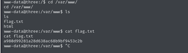 image-20250323214622481